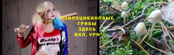 ГАЛЛЮЦИНОГЕННЫЕ ГРИБЫ Переславль-Залесский