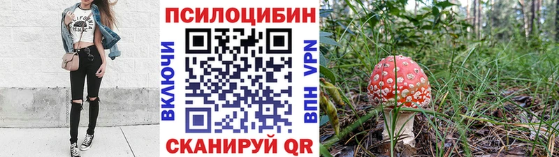 цена наркотик  Закаменск  Галлюциногенные грибы мицелий 