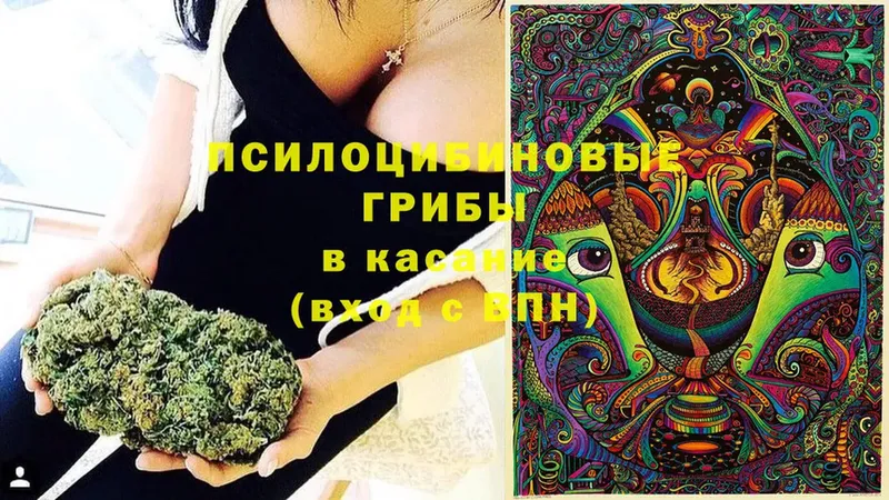 Галлюциногенные грибы MAGIC MUSHROOMS  Закаменск 